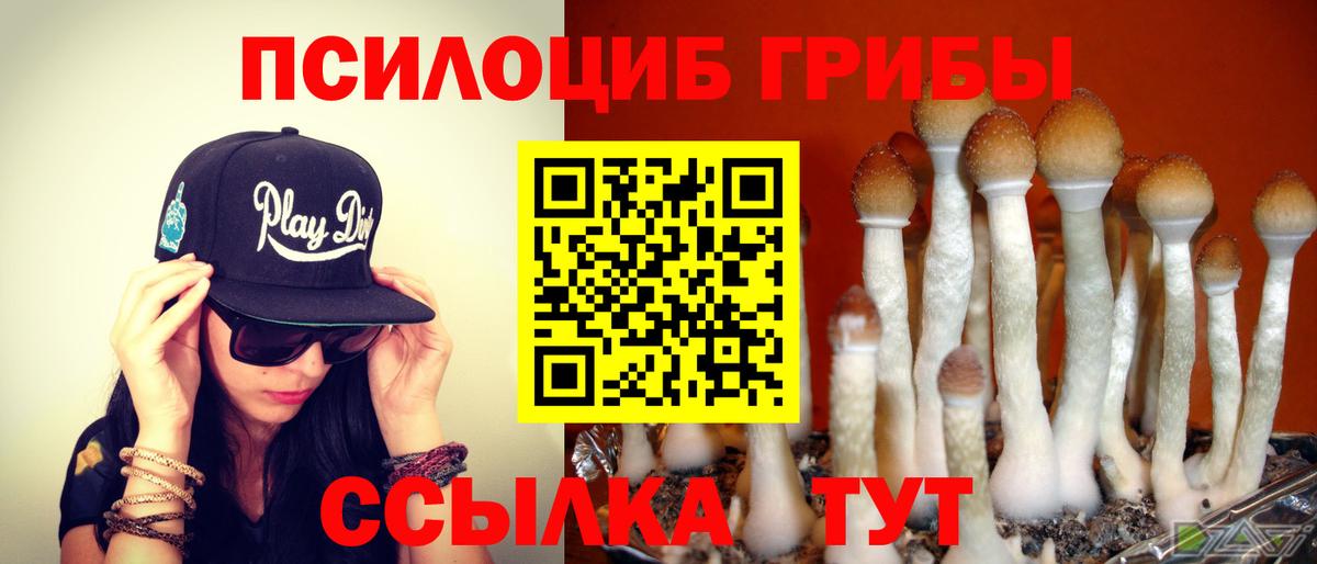 Галлюциногенные грибы Magic Shrooms  Галлюциногенные грибы прущие грибы  Вход с VPN  Кстово 
